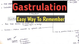 Gastrulation Embryology  Very Easy Way to Remember [upl. by Giacomo]