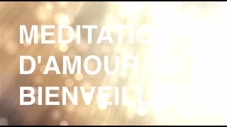 Méditation guidée en français  amour bienveillant ⟡ Ginkgo [upl. by Aicertal]