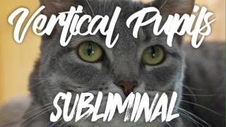 VERTICAL PUPILS  SUBLIMINAL [upl. by Mckinney]