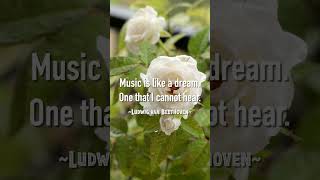 Ludwig van Beethoven  Piano Sonata No 8 Op 13 Part II Adagio cantabile shorts [upl. by Paulie]