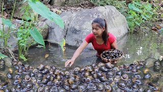 Survival cooking in forest Catch a lot snail in river  Snail curry spicy delicious [upl. by Mychael888]