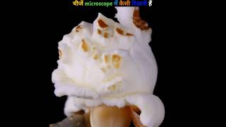 चीजें microscope में कैसी दिखती है  what do thinks like under a microscope  shorts [upl. by Eelirem]