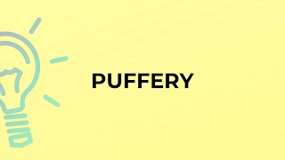 What is the meaning of the word PUFFERY [upl. by Aekahs]