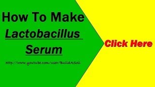 DIY Lactobacillus Serum Video tutorial and instructions [upl. by Llemij418]