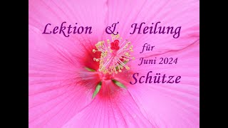 🌈Schütze KAMPF des VERSTANDES befrieden amp GEDANKEN bereinigen  NEGATIVER ISTZustand wird HEILEN🌈 [upl. by Eyot473]