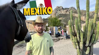 auf der suche nach KAKTUSFEIGEN in MEXIKO VLOG [upl. by Ahsikcin]