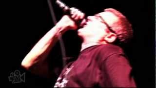 Descendents  Suburban Home Live in Sydney  Moshcam [upl. by Aronle]