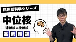 【☑︎小脳】リズム聴覚刺激RAS音楽療法のエビデンスと有効性とは⁉︎ 脳梗塞 [upl. by Hsemin]