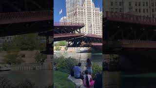 Downtown Chicago unitedstates travel shortvideo tiktok [upl. by Notsa]