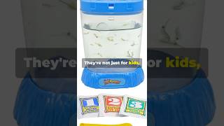 What are Sea Monkeys animalfacts seamonkey shorts [upl. by Tik]