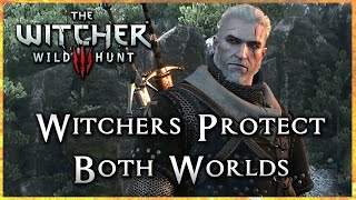 Witcher 3 All the Monsters Spared by Geralt  Skelliges Most Wanted DLC [upl. by Rombert]