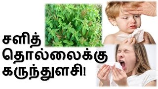 TamilTamil NattuTamil Nattu MaruthuvamTamil Siddha MaruthuvamTamil Natural MedicineSiddha [upl. by Shipp884]