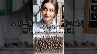 Fleas in Jar Experiment  유리병안에 벼룩 실험  을 아시나요 무서운이야기 지식위로동기부여명언 [upl. by Dnallor815]