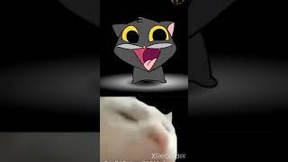 Scatman cute cat 2D and the Vibing Cat [upl. by Hedwig]