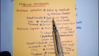 MULLERIAN abnormalities Gymeacology Chapt1 ten teacher [upl. by Rasec256]