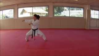 Tekki Shodan  Karate Training Sonia Fiuza [upl. by Nancey]