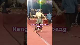 mangan kembang mboreh shortsvideo shorts [upl. by Ahsenrad]