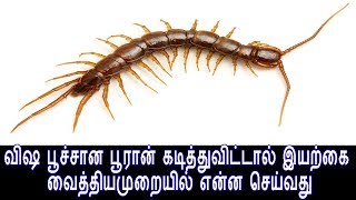 விஷ பூச்சான பூரான் கடித்துவிட்டால் இயற்கை வைத்திய முறையில் என்ன செய்வதுTamil Siddha Maruthuvam [upl. by Coopersmith]