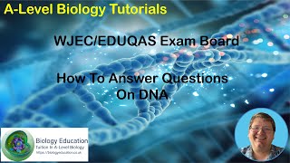 How to answer ALevel biology questions on structure of DNA for WJEC and EDUQAS exam boards [upl. by Aihsela]