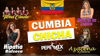 MIX DE CUMBIA  CHICHA ECUATORIANA BAILABLE 2024 [upl. by Stedmann302]