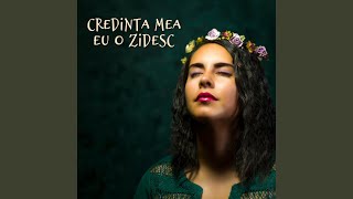 Credinta Mea Eu O Zidesc Muzica Crestina Noua [upl. by Merrie]