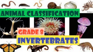 Animal Classification Invertebrates grade 8 science english mediumpart 1 [upl. by Siroled38]