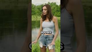 Don’t Mess With Canada Gooses shorts viral [upl. by Eniron]