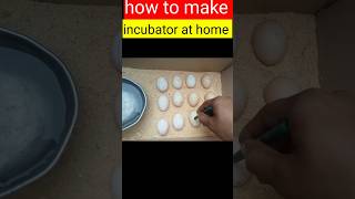 How to make incubator at home [upl. by Hoxsie]