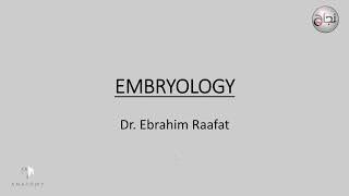 Embryology Fertilization 1st week of pregnancy [upl. by Kciredohr]