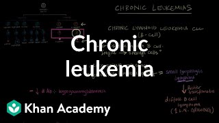 Chronic leukemia  Hematologic System Diseases  NCLEXRN  Khan Academy [upl. by Jaddo]