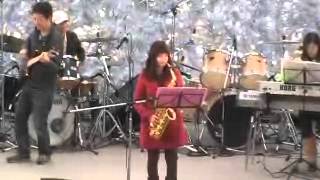 アルトサックス Sponge  The Brecker Brothers 岸本美咲 [upl. by Anallij172]