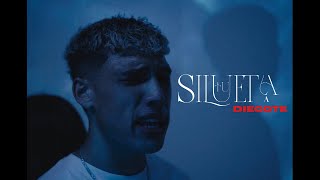 DIEGOTE  TU SILUETA Video Oficial [upl. by Naejeillib]