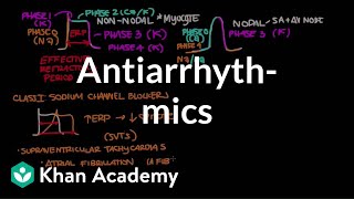 Antiarrhythmics  Circulatory System and Disease  NCLEXRN  Khan Academy [upl. by Eisinger]