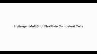 Invitrogen MultiShot FlexPlate chemically competent E coli product overview [upl. by Notgnimer]