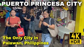 The Only City in Palawan Philippines  Puerto Princesa City  Evening Tour 2024 [upl. by Euqinimod]