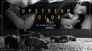 Upstream Color  La vida y sus lazos invisibles CHUCHOTAGE Upstramcolor Loscoloresdelavida [upl. by Ssidnak]