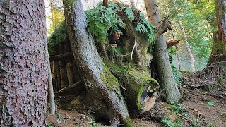 Building Warm Bushcraft Survival Shelter in the Forest Fireplace Catch and Cook Solo Camping [upl. by Jamel]