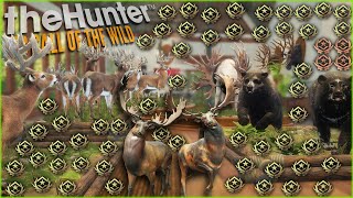 The INSANE 6400 Hour Trophy Lodge Tour With 60 Great Ones amp 15 Super Rares Call of the wild [upl. by Ytram994]