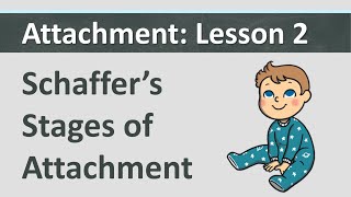 Attachment L2  Schaffers Stages of Attachment [upl. by Myers]