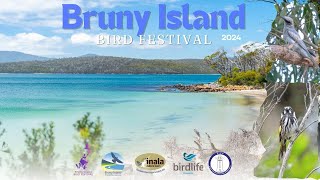 BRUNY ISLAND BIRD FESTIVAL 2024  PART 34 [upl. by Attenna670]