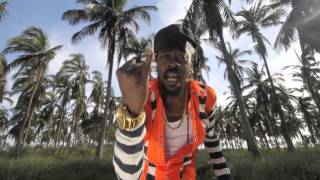 Beenie Man  Clean Heart Official Video Dec 2012 [upl. by Eldoree]