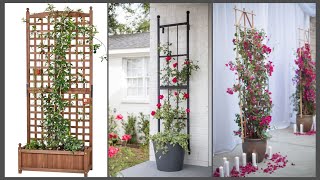 Climbing Blossoms Creative Outdoor Trellis Ideas [upl. by Beryl429]