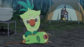 Thwackey Grooming Grookey  Pokemon Ultimate Journeys [upl. by Madalyn]