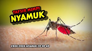 Tafsir Mimpi Nyamuk amp Erek Erek Nyamuk 2D 3D 4D [upl. by Ihteerp24]