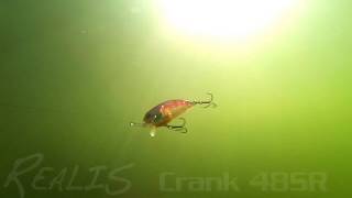 DUOs Lures in Motion 9  Realis Crank 48SR [upl. by Sou769]