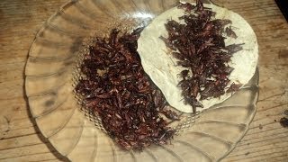 Receta de Chapulines GuisadosReceta Tipica de Oaxacalasdeliciasdelupita [upl. by Enisaj]