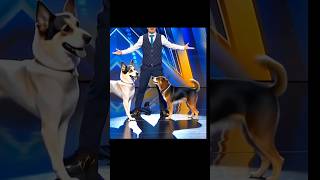 Americas Got Talent Dogs Magic😱😨  Duo SchumacherAGTamericagottalentmagic [upl. by Lanctot]