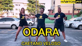 ODARA  CAETANO VELOSO  DANÇA HÁBITOS FIT COREOGRAFIA [upl. by Nehgem342]