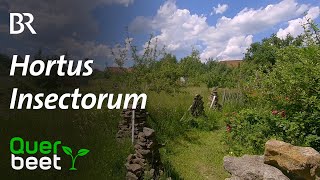 Hortus Insectorum [upl. by Salta]