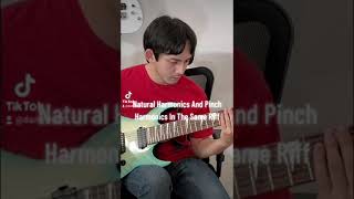 Natural Harmonics And Pinch Harmonics In The Same Riff [upl. by Cirdec]